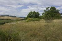 Kotýz