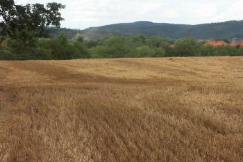 terénní vlna - pozůstatek prvního příčného valu ( © Milan Caha 08/2008)
