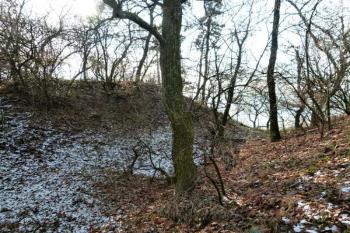 pohled na čelo jádra hradu ( © Jan P. Štěpánek 12/2011)