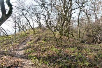 rozšířený výběžek valu na východě ( © Jan P. Štěpánek 12/2011)