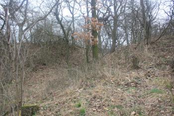  ( © Luděk Vláčil 02/2016)