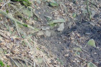 Čerstvě odkrýtá další část záp.parkánové zdi (© Dušan Dohňanský 01/2021)