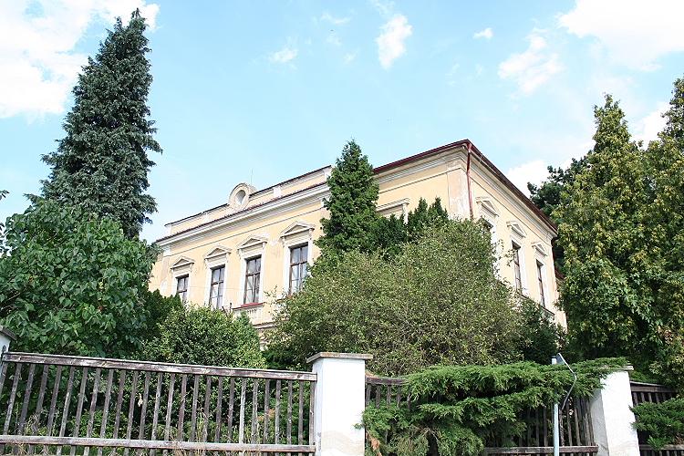 Kamýk