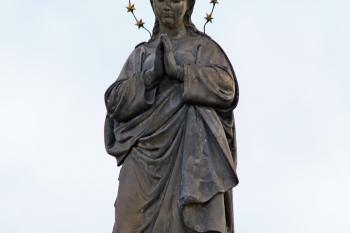  (© Pavel Zany Komárek 4. 8. 2012)