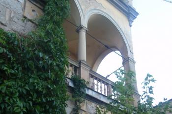  (© Veronika Vaňková, 08/2008)