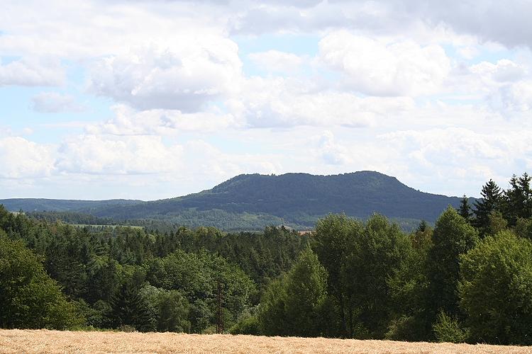 Vladař