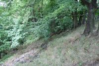 Vladař