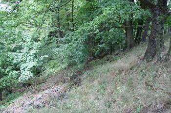 Zbytky valů hradiště na jižní hraně vrcholové plošiny (© Ivan Grisa, 08/2008)