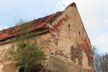 Kokořovský dvůr v neutěšeném stavu – bříza rostoucí přímo z opěráku ( © Iva Spurná 1.5.2010)