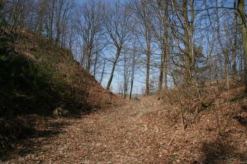 Příkop na hradě ( © Petr Nožička 03/2011)