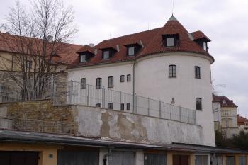 Baba (© Karel Husák, 03/2011)