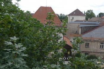  (© Karel Husák, 06/2011)