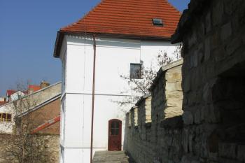  (© Karel Husák, 04/2010)