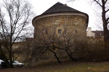  (© Karel Husák, 02/2012)