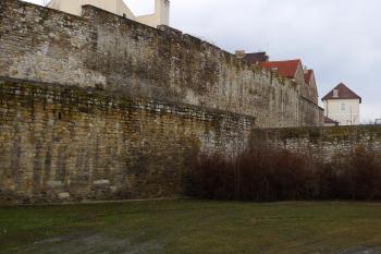  (© Karel Husák, 02/2012)