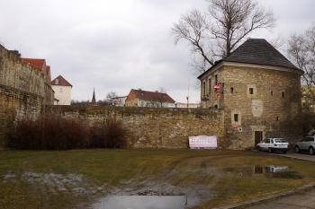  (© Karel Husák, 02/2012)