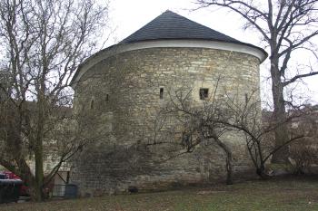 bašta u Dlouhé brány (© Karel Husák, 03/2010)