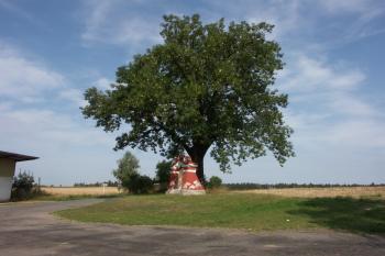  ( © Milan Caha 08/2008)