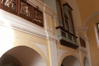 kůr ( © Milan Caha 08/2008)