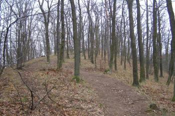  ( © Jan P. Štěpánek 12/2004)