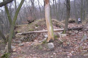  ( © Jan P. Štěpánek 12/2004)