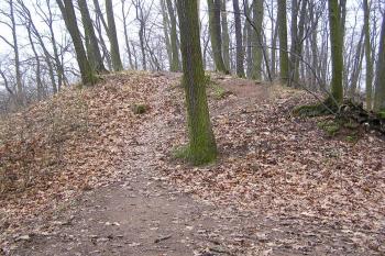  ( © Jan P. Štěpánek 12/2004)