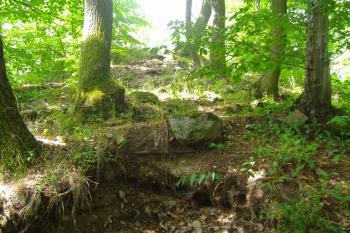 Pohled na západo-severozápad (od 2. hradního příkopu) na suťový kužel bergfritu v čele jádra hradu (© Miroslav Šamal, 7/2008)