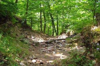 Prostor vstupní brány do jádra hradu - nalevo se nachází suťový kužel bergfritu (© Miroslav Šamal, 08/2008)