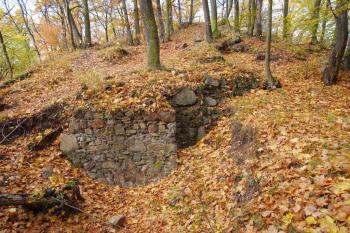 Obřany u Brna (© pavel fojt, 10/2009)