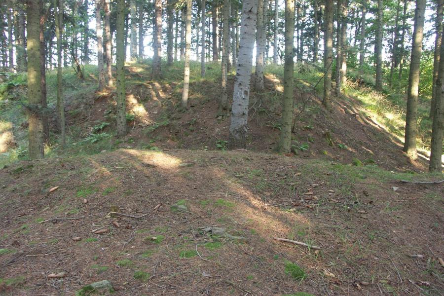 Nemojov