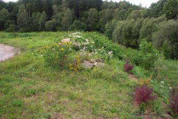 poslední náznak tvrziště ( © Milan Caha 08/2008)