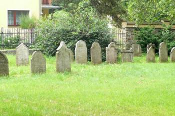 pohled na shluk několika historických náhrobků ( © Jan P. Štěpánek 07/2008)