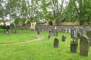 celkový pohled na východní část hřbitova ( © Jan P. Štěpánek 07/2008)