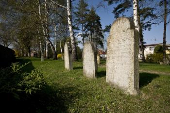 náhrobní kameny (© Tomáš Berka, 04/2009)