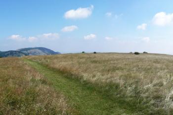 severní a severovýchodní část plochy zaniklého hradiště na plochém vrcholu Stolové hory ( © Jan P. Štěpánek 07/2008)