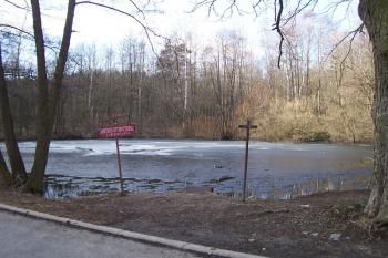 Přemyslovice (© Ivo Rozehnal, 03/2009)