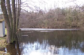 Přemyslovice (© Ivo Rozehnal, 03/2009)