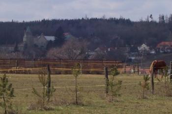 Přemyslovice (© Ivo Rozehnal, 03/2009)