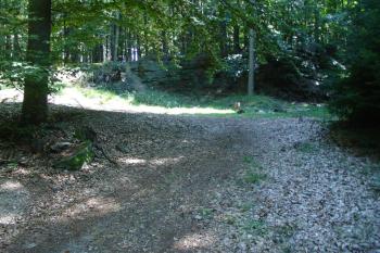 Lom Kaménka (© Jiří Čížek, 08/2008)