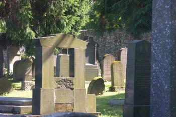  ( © Milan Caha 08/2008)