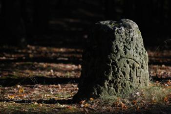 U Jezírek (© Tomáš Berka, 09/2008)