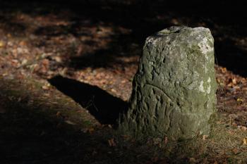 U Jezírek (© Tomáš Berka, 09/2008)