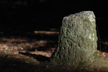 U Jezírek (© Tomáš Berka, 09/2008)