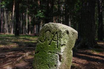 Hobrtenky (© Tomáš Berka, 07/2008)