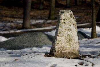 U Jezírek (© Tomáš Berka, 03/2009)
