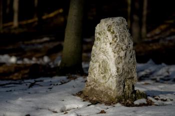 U Jezírek (© Tomáš Berka, 03/2009)