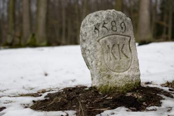 U jezírek (© Tomáš Berka, 03/2009)