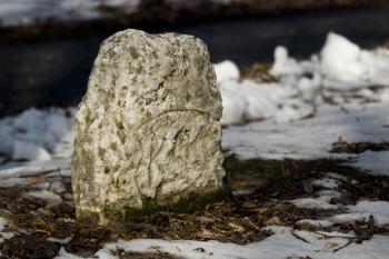 U jezírek (© Tomáš Berka, 03/2009)