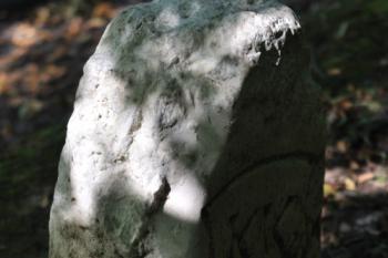 U Jezírek  (© Tomáš Berka, 07/2009)