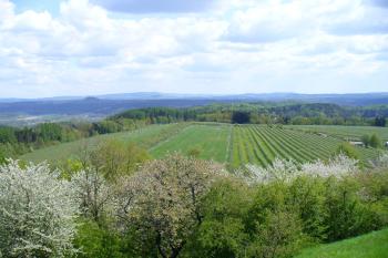 Mužský - výhled na sevorovýchod (© Pavel Jarý,  04.05.2008)